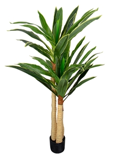 Kunstig Dracena Plante - Højde 170 cm - Lange flotte blade - Kunstig gulvplante