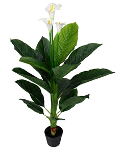 Kunstig plante - Højde 120 cm - Dekorative Calla med 3 smukke hvide blomster 